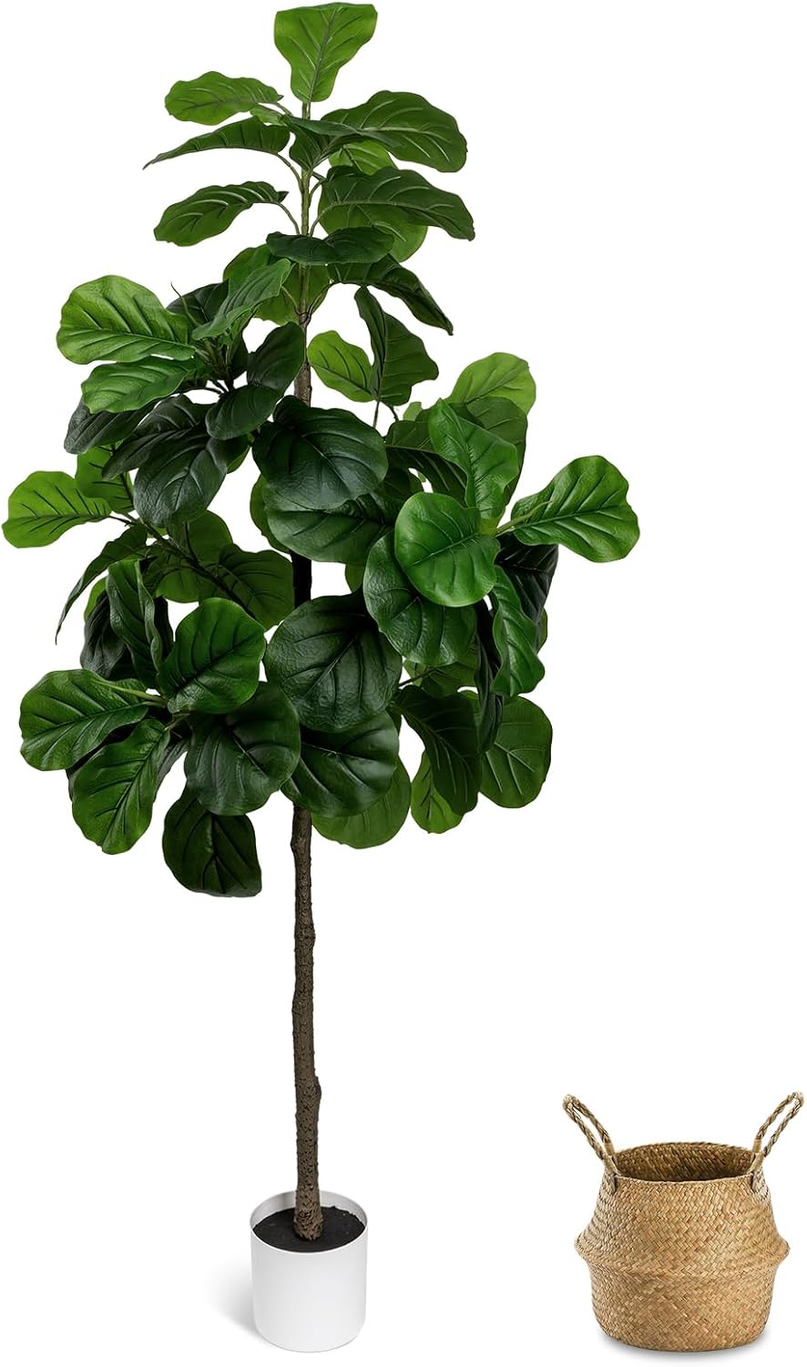 Img